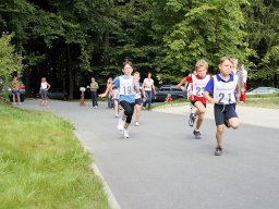 Westerzgebirgscup 2008