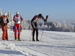 Grenzlauf 2010