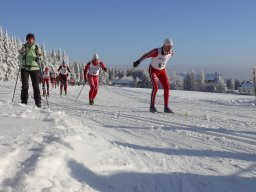 Grenzlauf 2010