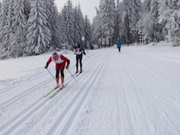 Grenzlauf 2010