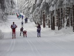 Grenzlauf 2010