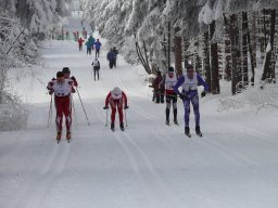 Grenzlauf 2010