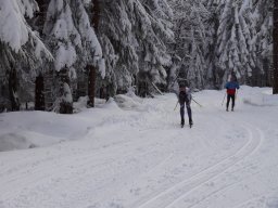 Grenzlauf 2010