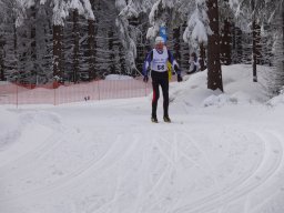 Grenzlauf 2010