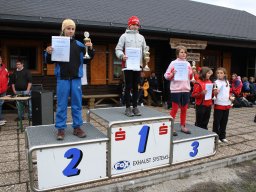 Sachsenpokal 2011