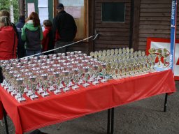 Sachsenpokal 2011