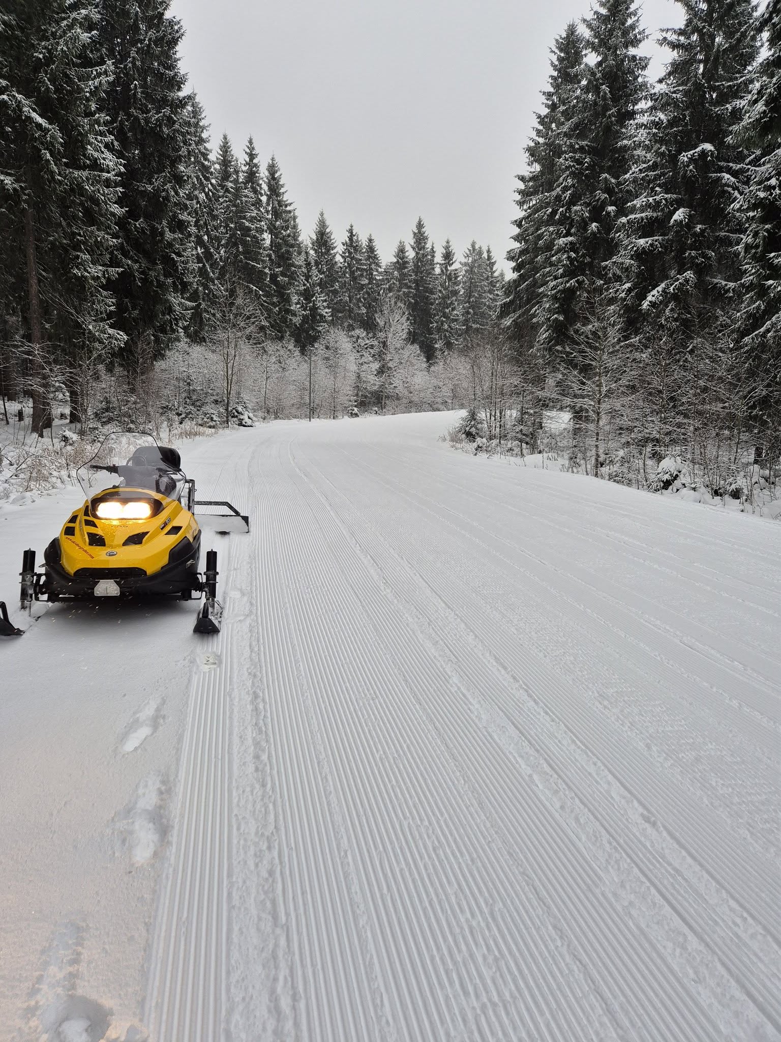 588929230 1278539540975931 9042713510841548079 n